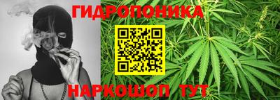 дживик Обь