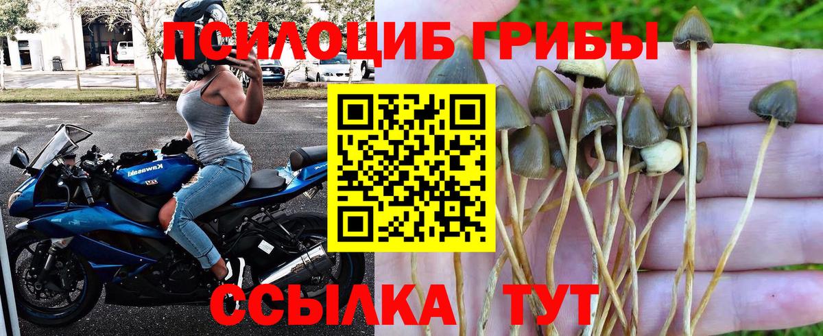 Галлюциногенные грибы ЛСД Рассказово