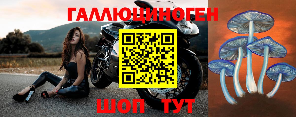 Псилоцибиновые грибы мухоморы  Псилоцибиновые грибы мухоморы  где можно купить наркотик  Вход с VPN  Рассказово 